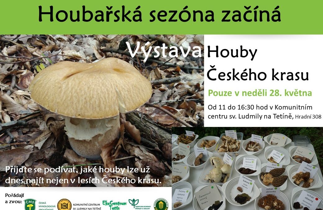 Houby Českého krasu