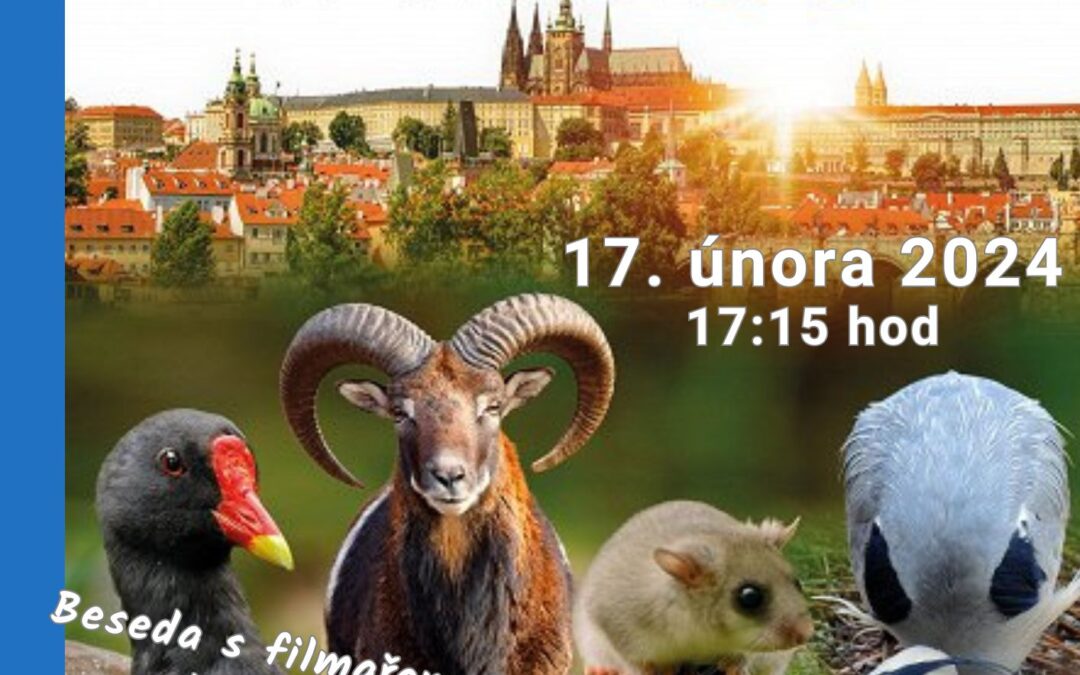 Planeta Praha