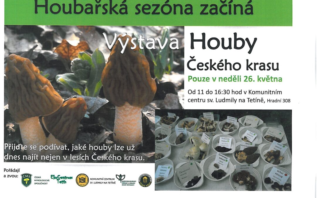 Houby Českého krasu