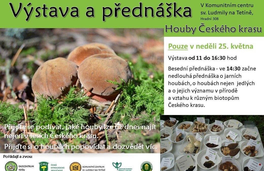Houby Českého krasu