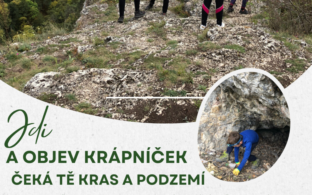 Krápníček