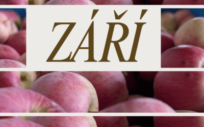 Program na září